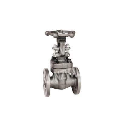 【鍛鋼閘閥F-DN15】?jī)r(jià)格,廠家,圖片,閥門(mén),浙江隆成閥門(mén)-